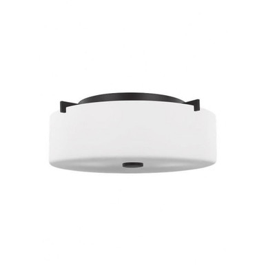 Sunset Drive 2 Light 13.5 Inch Wide Flush Mount by Generation - FM313