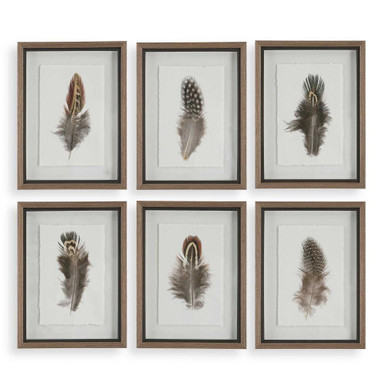 Birds Of A Feather 15 Inch Framed Wall Decor (Set of 6) by Uttermost - 41460
