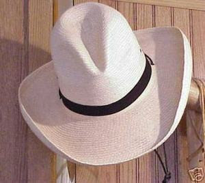 SunBody Palm 4\