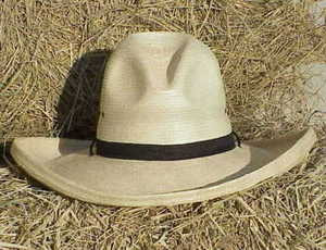 Fine Palm Sloped Fedora Hat 