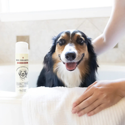 Mixologie  Soothing Dog Shampoo