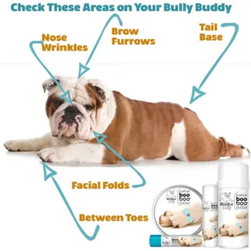 Blissful Dog Boo Boo Butter