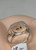 Turquoise Network Men's Matrix Turquoise Ring
