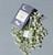 Herb & Root Moonflower Eau De Parfum