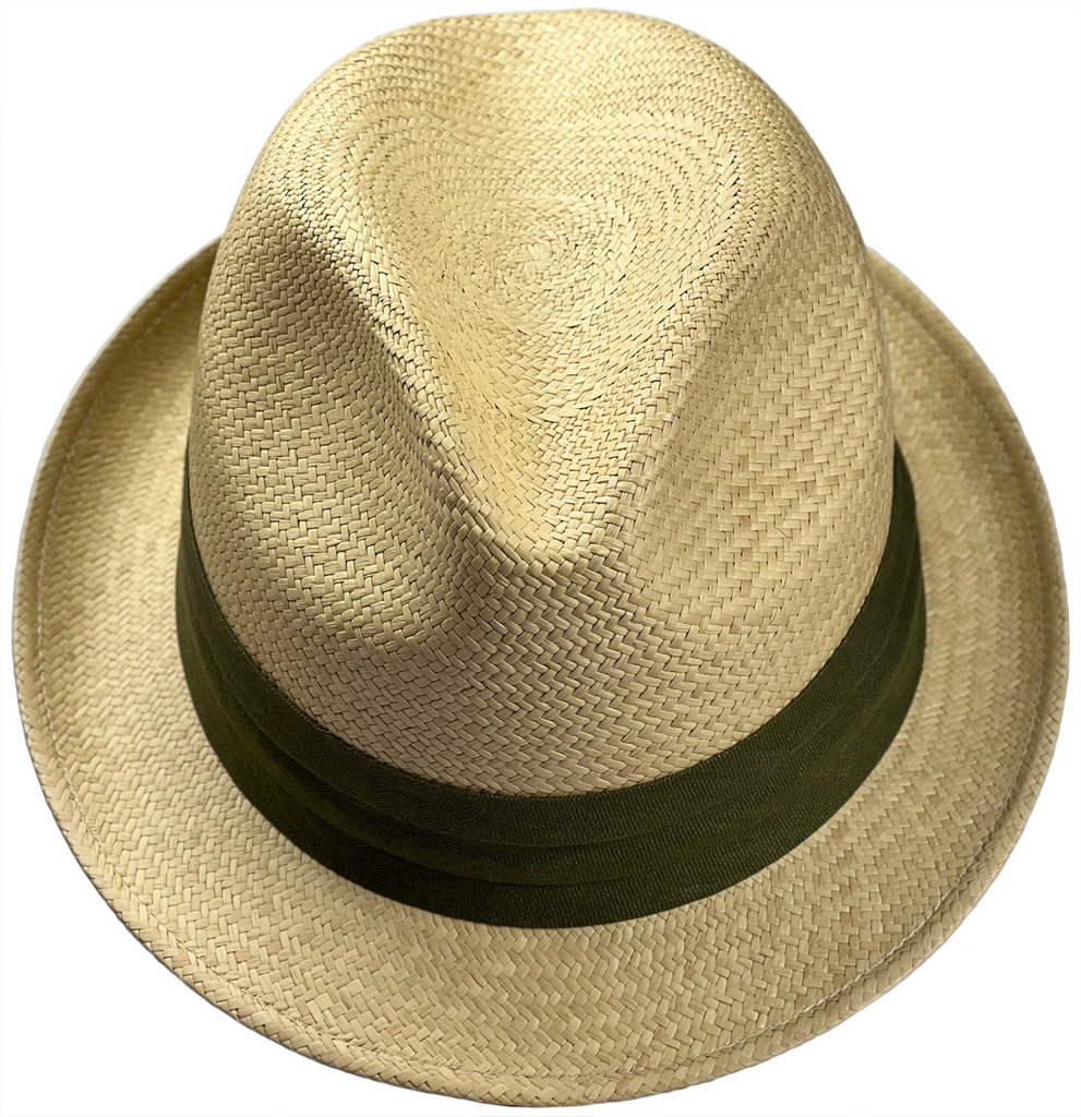 Ray Panama Fedora