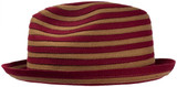 Striped Ray Felt Fedora