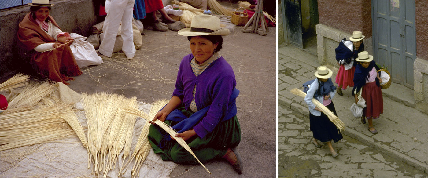 Vintage Picture of Woman Selecting Straw in a Village near Cuenca Ecuador. Vintage Picture of City Residents walking down the street after buying Palm Straw at the Market in Ecuador.