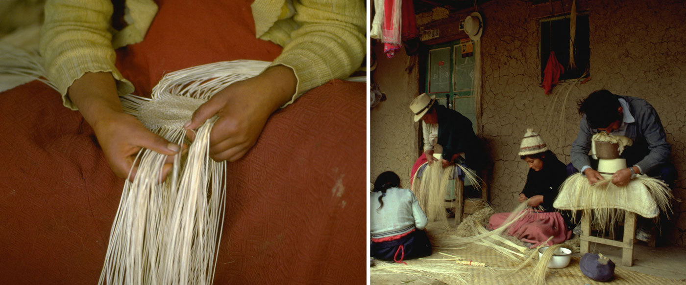 Picture of Woman hand weaving the initial button of a Panama Body, Ecuador. Vintage Picture of a family in Ecuador hand weaving Panama straw hat bodies.