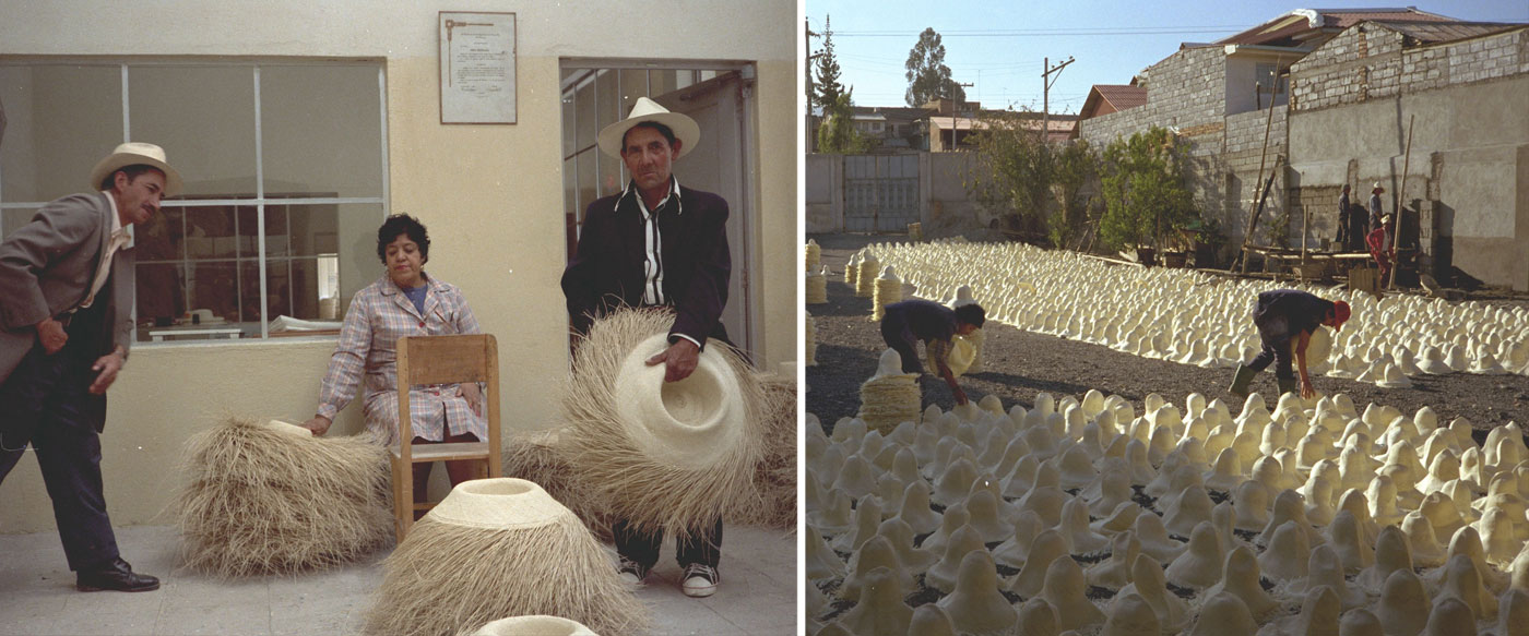 Vintage Picture of two Men dropping off finished Panama hat bodies at distributor in Ecuador. Vintage Picture of two Men laying out hundreds of freshly woven Panama hat bodies to dry.