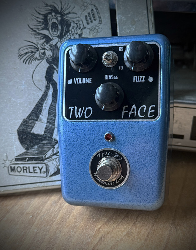 ギター Tru-Fi Floyd Fuzz Tru-Fi Floyd Fuzz guitar pedal in multiple versions of the EH Bug