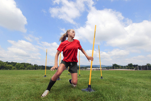 PREMIER COACHING STICKS PREMIER COACHING STICKS