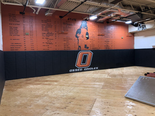 Protector 2" Polyurethane, Graphic, Z-Track, Wood Backed Wall Padding