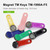 TM-R | Magnet TM Keys, DS1990A ibutton Keys with ring | In Stock