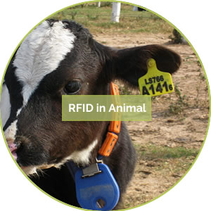 13.animalrfid.jpg