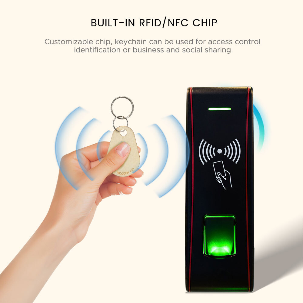 kew4530-02.jpg kew4530-02.jpg