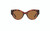 TC Aurora Sunglasses Tortoise