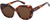TC Portofino Sunglasses Tortoise Shell
