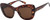 TC Capri Sunglasses Tortoise Shell