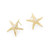 Tc Under The Sea - Starfish Earrings Gold