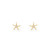Tc Under The Sea - Starfish Mini Earrings