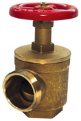 Dixon AV251 2-1/2" FNPT x 2-1/2" MNST Angle Hose Valve, Import, Forged Brass A56Y005