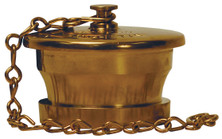 Dixon BIDP250 2-1/2" BRITISH INSTANTANEOUS PLUG
