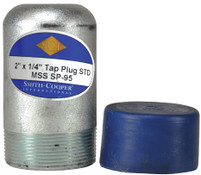 Dixon BP40-300T050 3" x 1/2" Sch40 Ball Plug w/Tap Zinc Plated