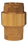 Dixon CV100 1" SPRING LOADED CHECK VALVE
