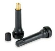 Legacy TH0202 2" Tire valve (TR-418), 2 pack