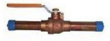Legend Valve 101-113 1/2"S-1002P FTG x FTG