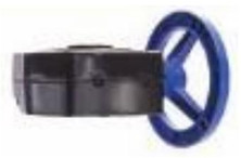 Legend Valve 116-381 GEAR FOR 2"-3" Cast Iron Butterfly Valve