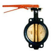 Legend Valve 116-401 2" T-335AB Cast Iron Butterfly Valve, EPDM Seat, Wafer