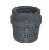 Legend Valve 201-294 3/4" PVC Foot Valve Screen