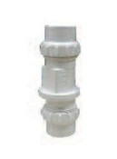 Legend Valve 203-248 2" S-672 PVC True Union Swing Check Valve