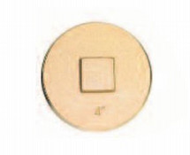 Legend Valve 302-606 2-1/2" Brass Raised Square Head Plug