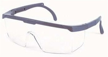 Sellstrom 76601 Sebring 400 Series Eyewear