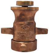 Dixon FP500B 2-1/2" NST BRASS MASTER STREAM