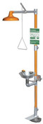 Safety Station with Eye/Face Wash, Hand and Foot Control, Stainless Steel Bowl