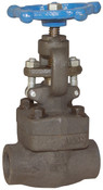 Dixon FSGV200 2" FEMALE NPT FORGED STEEL
