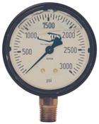 Dixon GLP500 2 1/2" Face, 1/4" Lower Mount,