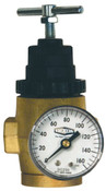 Dixon R43-301RG 3/8" Series 1 Water Regulator with