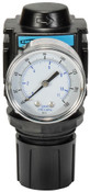 Dixon R18-03RG 3/8" Compact Regulator with Gauge