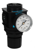 Dixon R28-06RG 3/4" Standard Regulator w/ Gauge