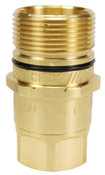 Dixon W8F8-B 1" WING NIPPLE, 1" NPTF, BRASS Body Material: BRASS Body Size: 1"