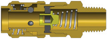Dixon 2AM2-B 1/4" Body x 1/4" MNPT Brass
