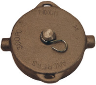 Dixon 300-PC-AL 3" Aluminum Pipe Cap