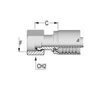 Alfagomma C12420813-0808 BSP O-Ring Female Swivel 60 Deg Cone, 0.50", 12.70 mm