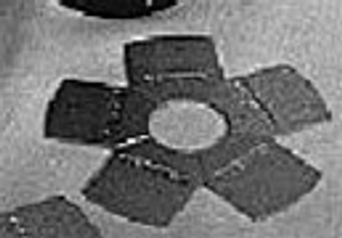 Blastline 372/SH Shot Blast Disc