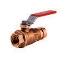 Legend Valve 101-144 3/4" P-200 FIP x Press Ball Valve
