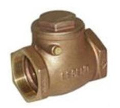 Legend Valve 105-101 1/4" T-451 Swing Check Valve